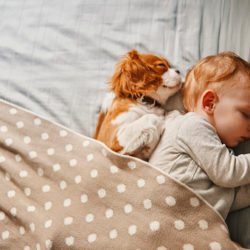 baby sleeping with dog